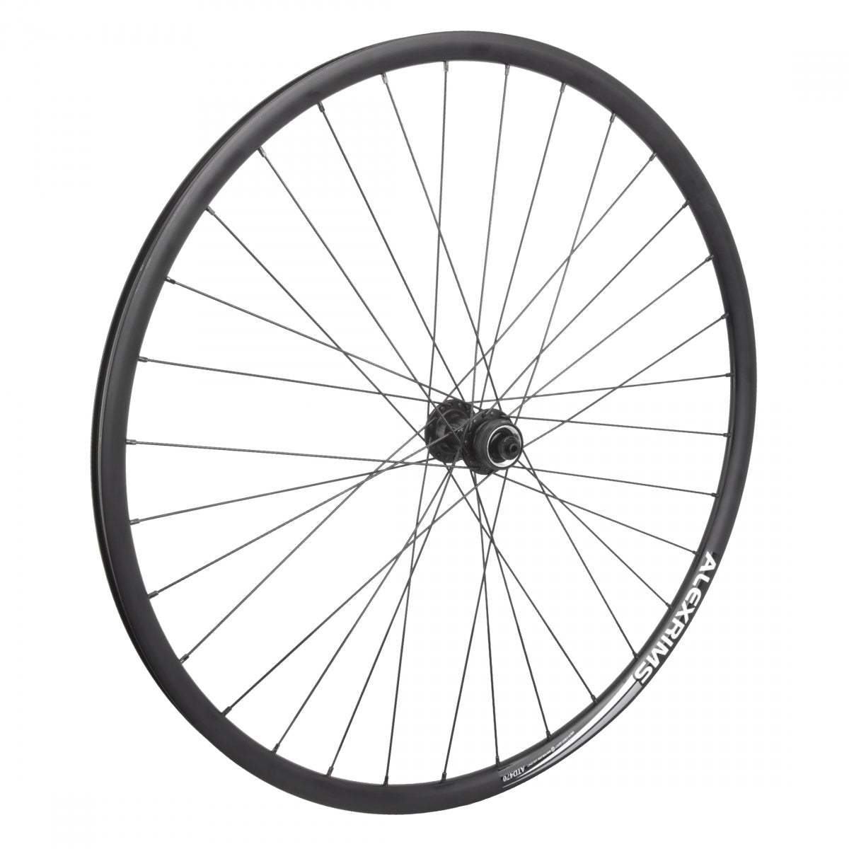 WheelMaster 700C Alloy Disc Double Wall Road Wheel - Front - Black