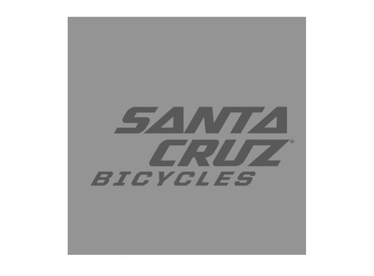 Santa Cruz Square Sticker 3.5