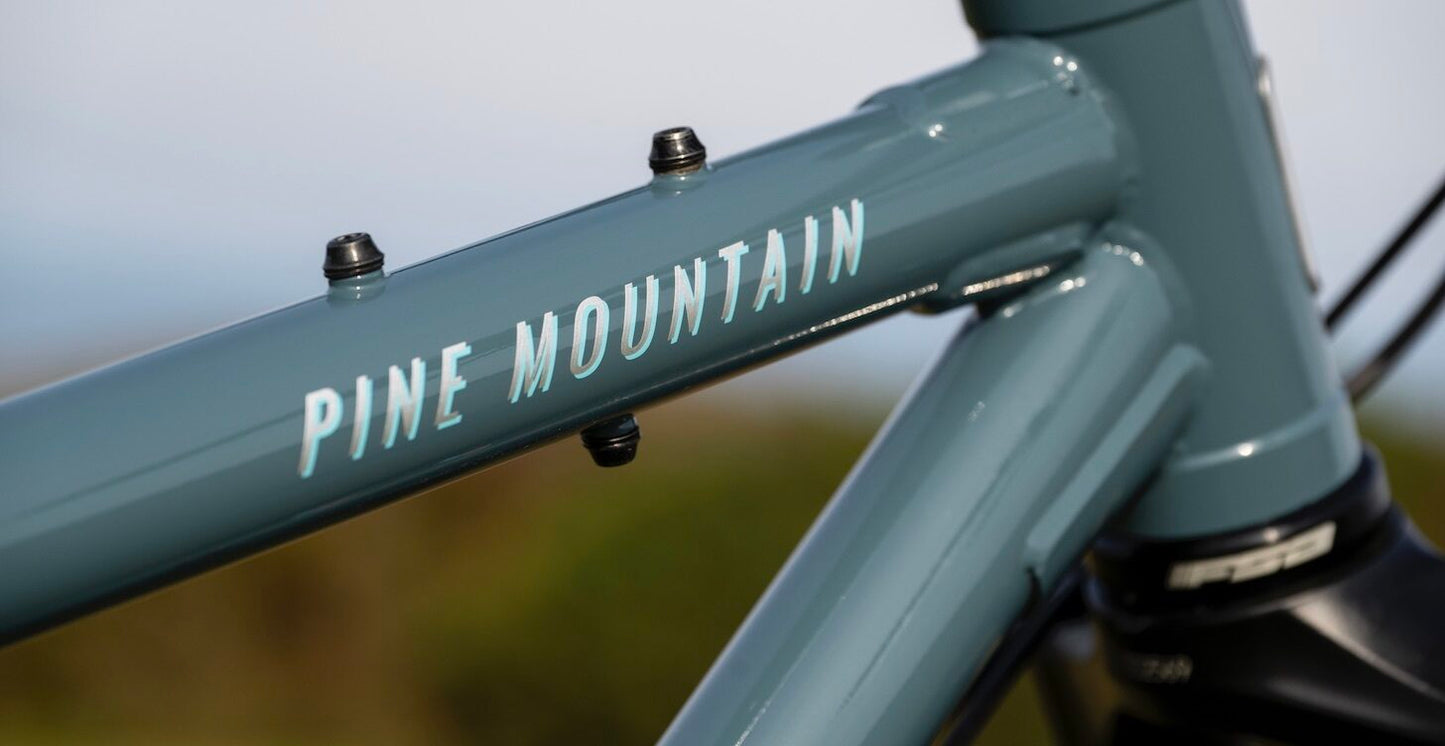 Marin Pine Mountain 1 29 - Gray - 2024