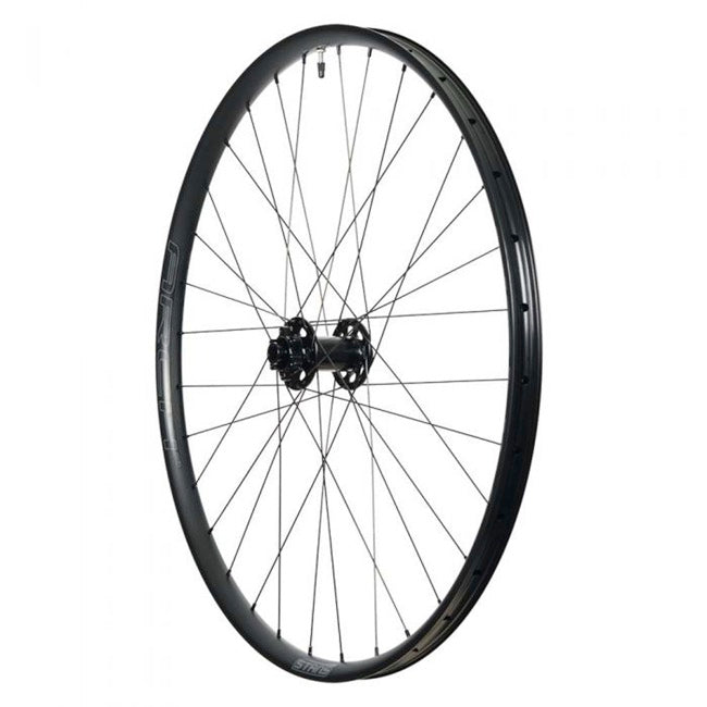 Stans No Tubes Arch MK4 29" MTB Wheel - Front Black 15x110mm 