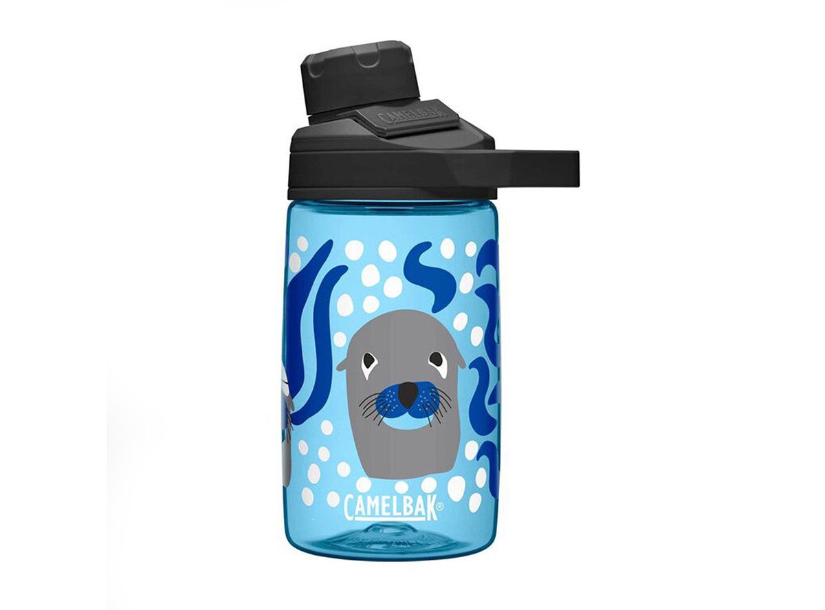 https://cambriabike.com/cdn/shop/products/CamelbakChuteMagKidsWaterBottle-14oz-2021_SeaLions_c999bad8-9f9b-4d0a-9e9c-3d2996d6dc51.jpg?v=1620899785&width=2048