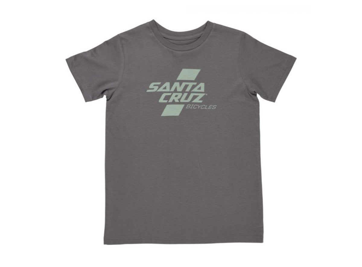 Santa Cruz Parallel Tee - Youth - Charcoal-Olive Charcoal - Olive Medium 