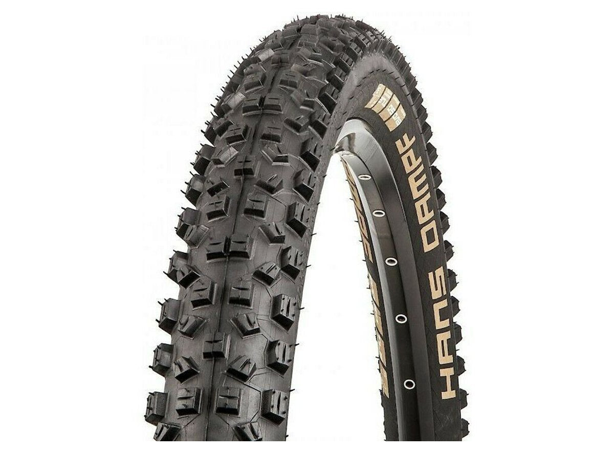 Schwalbe Hans Dampf Performance 27.5