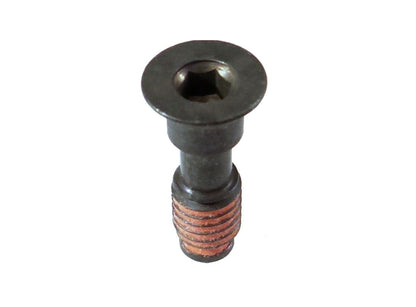 Shimano Derailleur Pulley Bolt