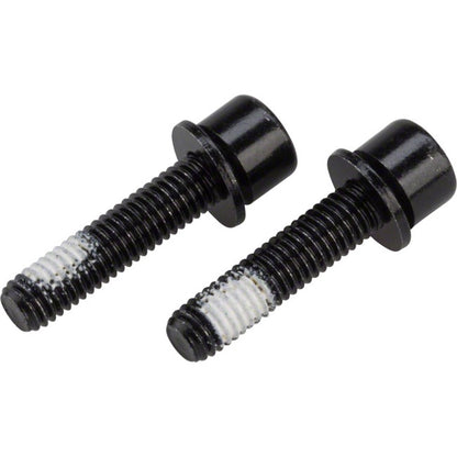 TRP Flat Mount Rear Caliper Mounting Bolts