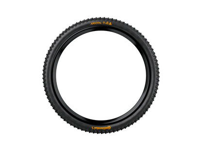 Continental Argotal 29" Folding DH Tire