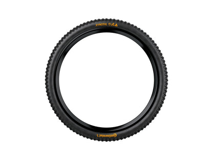 Continental Xynotal 29" Folding DH Tire