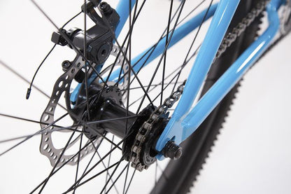 Eastern Growler 26" BMX Cruiser - Blue