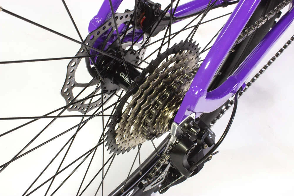 Purple mountain bike 2024 tires